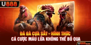 Đá Gà Cựa Sắt hình thức cá cược húp nhanh nhất U888