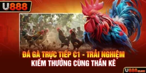 Đá Gà Trực Tiếp C1