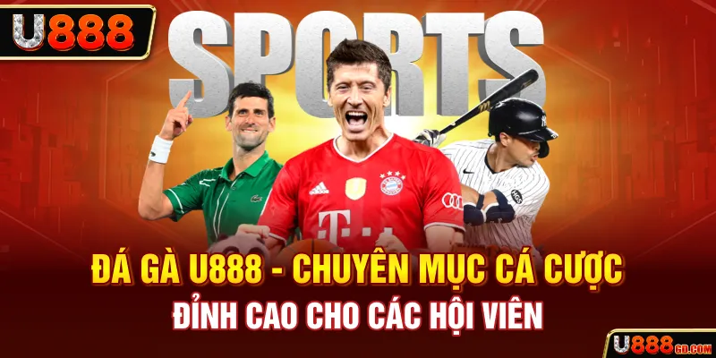 Đá gà U888 - Không gian chọi kê đẳng cấp