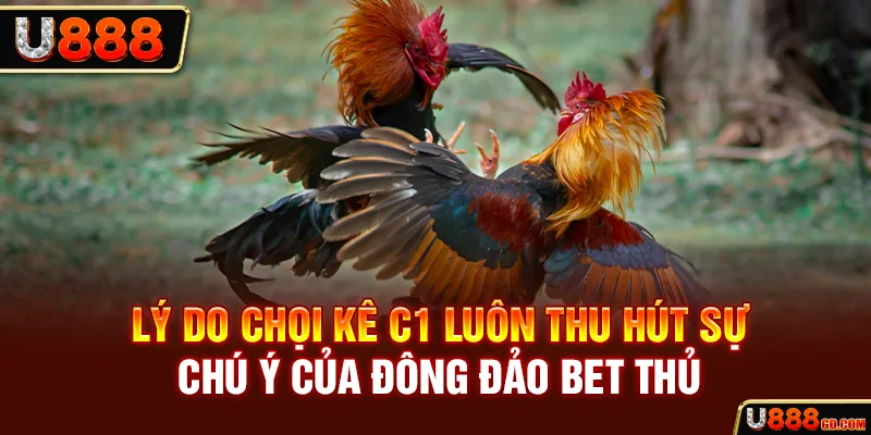 Lý do chọi kê C1 luôn thu hút sự chú ý của đông đảo bet thủ