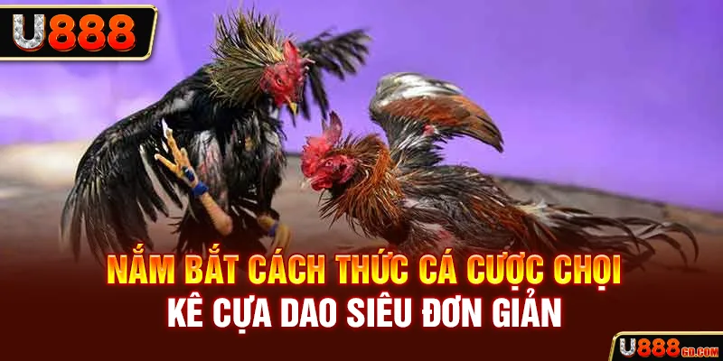 Nắm bắt cách thức cá cược chọi kê cựa dao siêu đơn giản