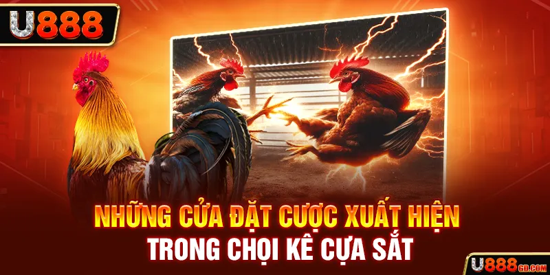 Những cửa đặt cược xuất hiện trong chọi kê cựa sắt