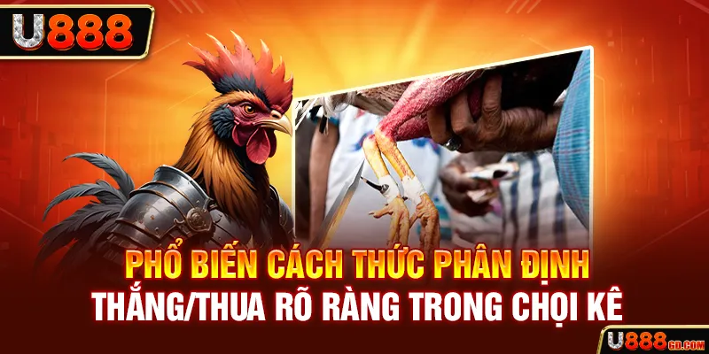 Phổ biến cách thức phân định thắng/thua rõ ràng trong chọi kê