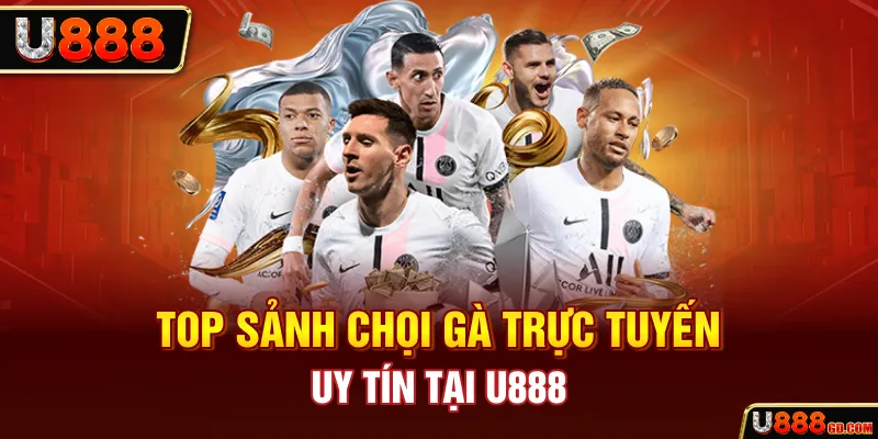 Top sảnh chọi gà trực tuyến uy tín tại U888