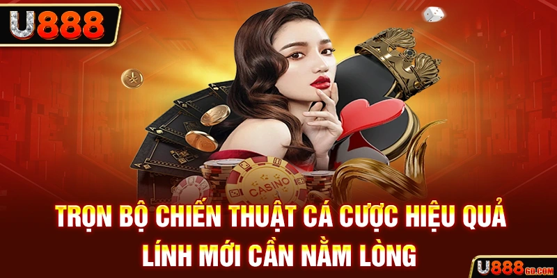 Trọn bộ chiến thuật cá cược hiệu quả lính mới cần nằm lòng