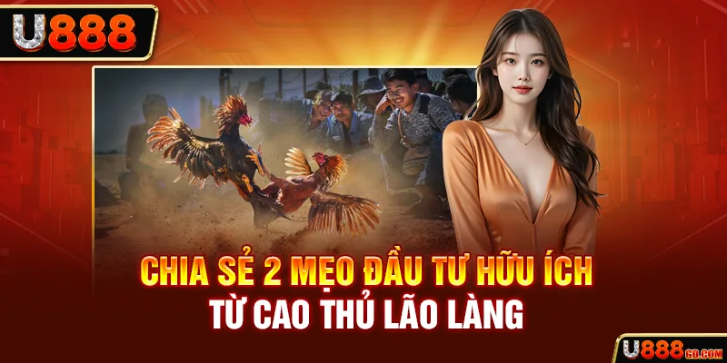 Chia sẻ 2 mẹo đầu tư hữu ích từ cao thủ lão làng