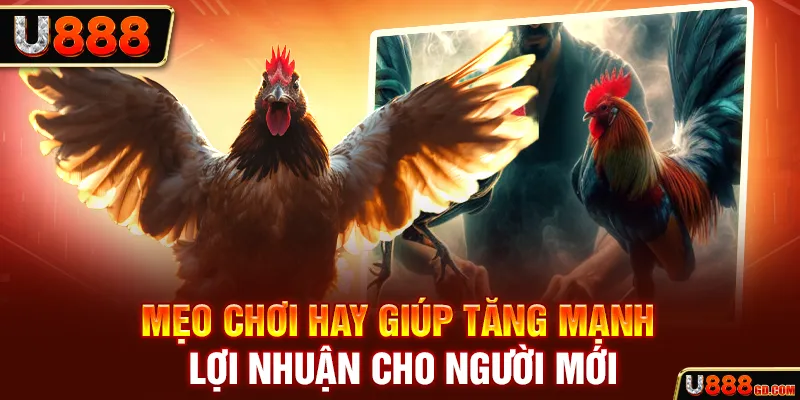 Mẹo chơi hay giúp tăng mạnh lợi nhuận cho người mới