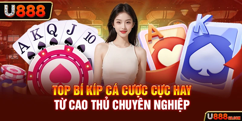 Top bí kíp cá cược cực hay từ cao thủ chuyên nghiệp